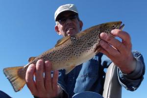 Braggin' Board Photo: 16 inch Brown Trout