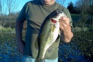 Braggin' Board Photo: big bass 6