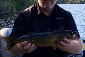 Braggin' Board Photo: Walleye Fishing in Ontario