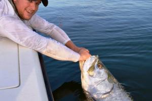 Braggin' Board Photo: Big Fish - Tarpon