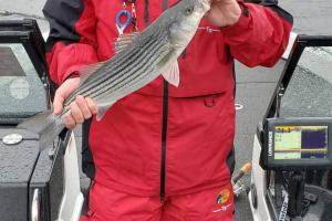 Braggin' Board Photo: Striper Cup Tournament