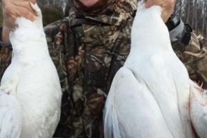 Braggin' Board Photo: Hunting Geese