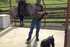 Braggin' Board Photo: Veterans Sportsman Alliance Turkey Hunt