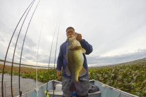 Braggin' Board Photo: Nice Bass