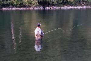 Fly fishermen knee deep in a wide river stream Fly Fishing