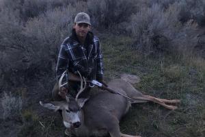 Mule deer hunter had a successful hunt harvested a nice buck mule deer