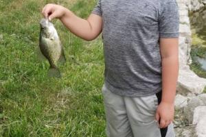 Young boy hold a fish for the first time