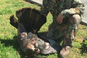 Turkey hunter with gobbler