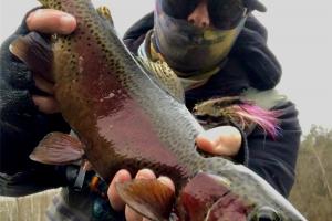 Angler holding up a rainbow trout