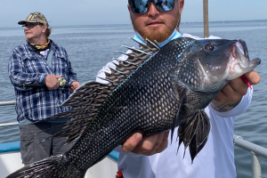 Anagler holding black sea bass