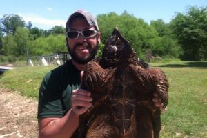 Snapping Turtle