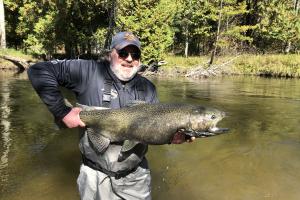 Angler & King Salmon
