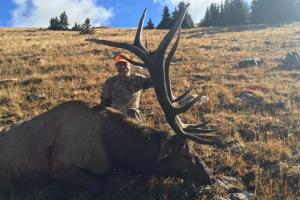 Braggin' Board Photo: Elk Harvest