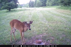 Braggin' Board Photo: I'm watching you