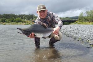 Braggin' Board Photo: Pink Salmon