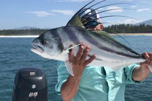 Braggin' Board Photo: A Mexico Rooster!