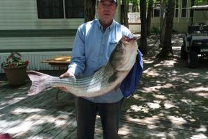 Braggin' Board Photo: Toms' Striper Bass