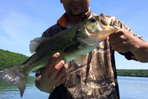 Braggin' Board Photo: Nice Bass