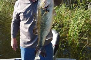 Braggin' Board Photo: Spawning Bass