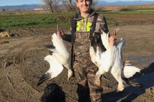 Braggin' Board Photo: 1st Snow Geese