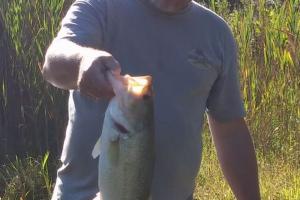 Braggin' Board Photo: Nice Bass 2