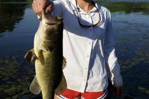 Braggin' Board Photo: 18" Largemouth