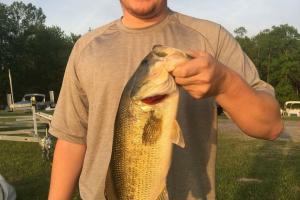 Braggin' Board Photo: Largemouth fishing