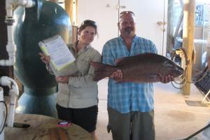 Braggin' Board Photo: Nice Snapper