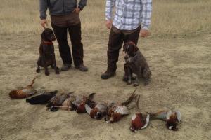 Braggin' Board Photo: Family PheasantHunt