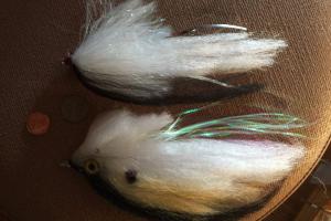 Braggin' Board Photo: Some Big Flies for Big Stripers