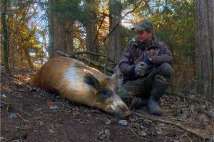 Braggin' Board Photo: Wild Pig, Western Oklahoma