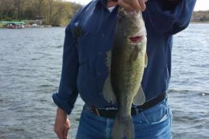 Braggin' Board Photo: Minnesota Bass