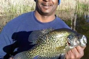 Braggin' Board Photo: The Crappie whisperer