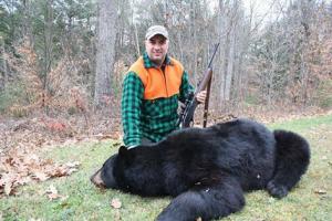 Braggin' Board Photo: Black Bear in New Hampshire