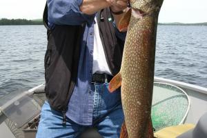 Braggin' Board Photo: 36 inch 10 lb Pike