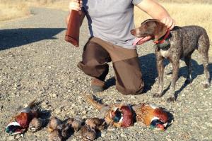 Braggin' Board Photo: Pheasant Hunting