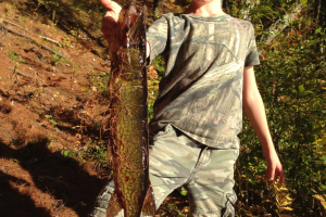 Braggin' Board Photo: Bear Brook Catch