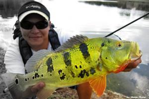 Braggin' Board Photo: Haifocalcolor saltwater fishing