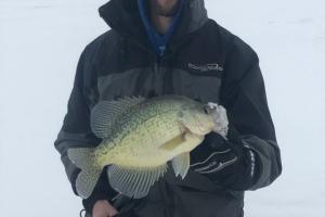 Braggin' Board Photo: 15 3/4 inch Ice Crappie