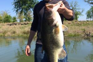 Braggin' Board Photo: Lake Fork Monster Bass