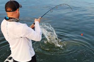 Braggin' Board Photo: 100+ Pound Tarpon