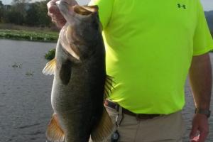 Braggin' Board Photo: Bass: catch of the day