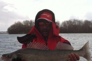 Braggin' Board Photo: Walleye Detroit River