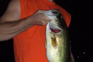 Braggin' Board Photo: Night Fishing