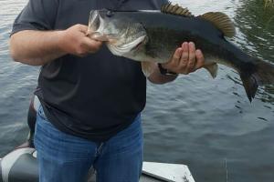 Braggin' Board Photo: 8 lb Bass caught March 2016