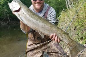 Braggin' Board Photo: Michigan Steelhead