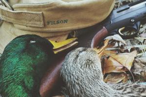 Braggin' Board Photo: Mallard Pair Ozark 2014