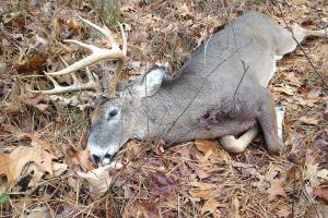 Braggin' Board Photo: 2014 Deer Season Buck