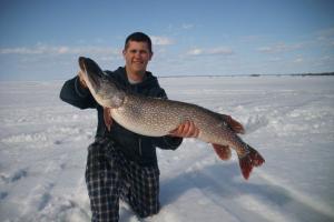 Braggin' Board Photo: Cold Fishing - Nice Pike