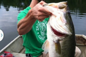 Braggin' Board Photo: Nice Bass